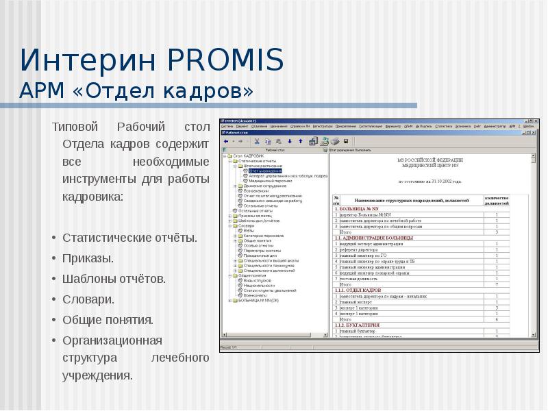 Мис интерин promis презентация