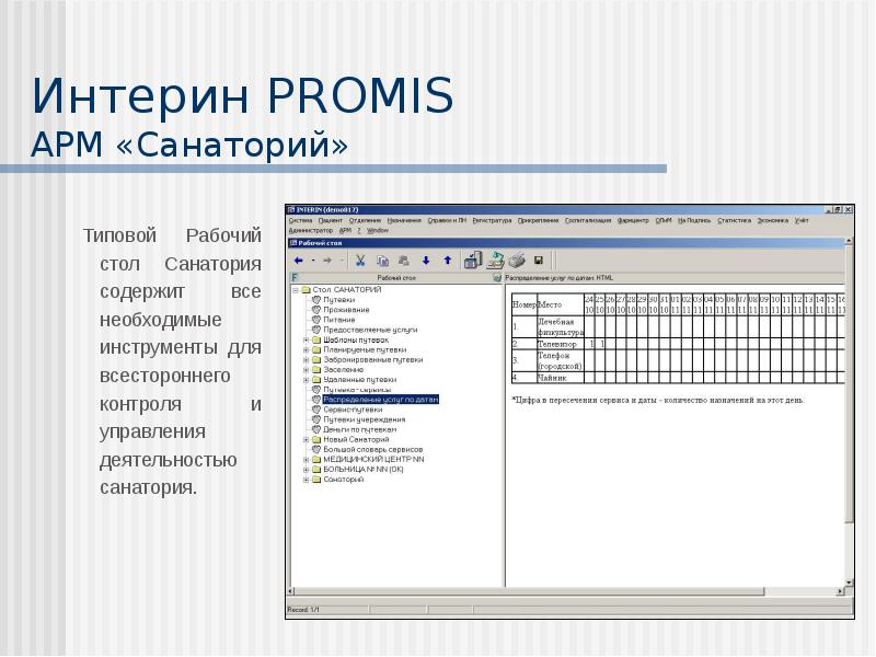 Мис интерин promis презентация