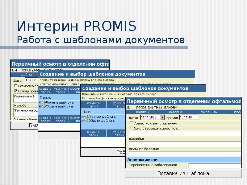 Мис интерин promis презентация