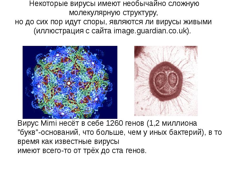 Вирусы имеют. Сложные вирусы имеют. Вирусы и Эволюция жизни. Некоторые вирусы могут иметь. Является ли вирус живым.