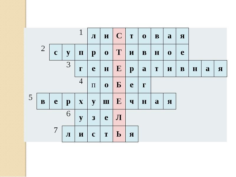 Кроссворды по биологии 6 класс стебель. Кроссворд на тему побег. Кроссворд по биологии 6 класс. Кроссворд на тему внутреннее строение листа. Кроссворд на тему строение дерева.