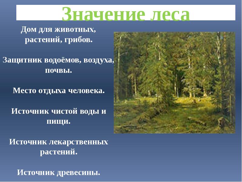 Рассказ рассуждение почему лес называют сообществом