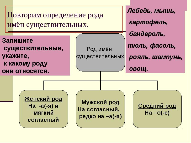 Презентация род существительных 2 класс