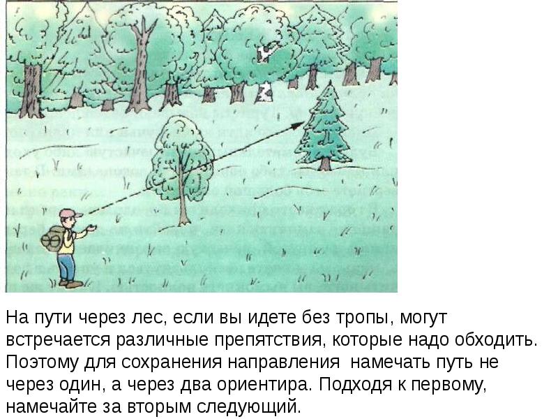 Направление движения путь. Способ сохранения направления движения. Путь через лес преграды. Выход к населенному пункту. ОБЖ выход к населенному пункту.