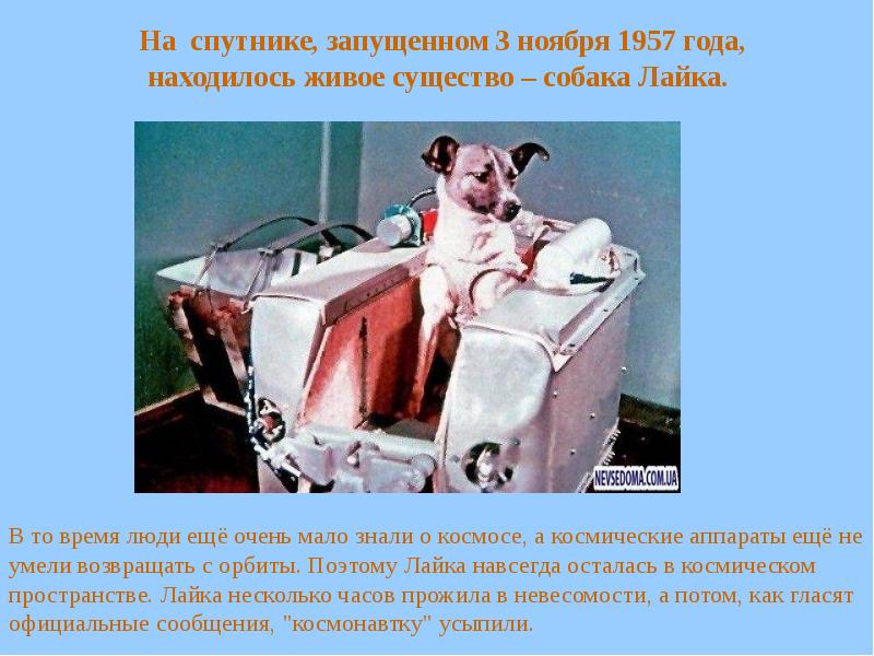 Будучи запущен. Собачка лайка в 1957 году на космическом аппарате. Лайка 3 ноября 1957. 3 Ноября 1957 года. 3 Ноября 1957 в космос полетела собака лайка.