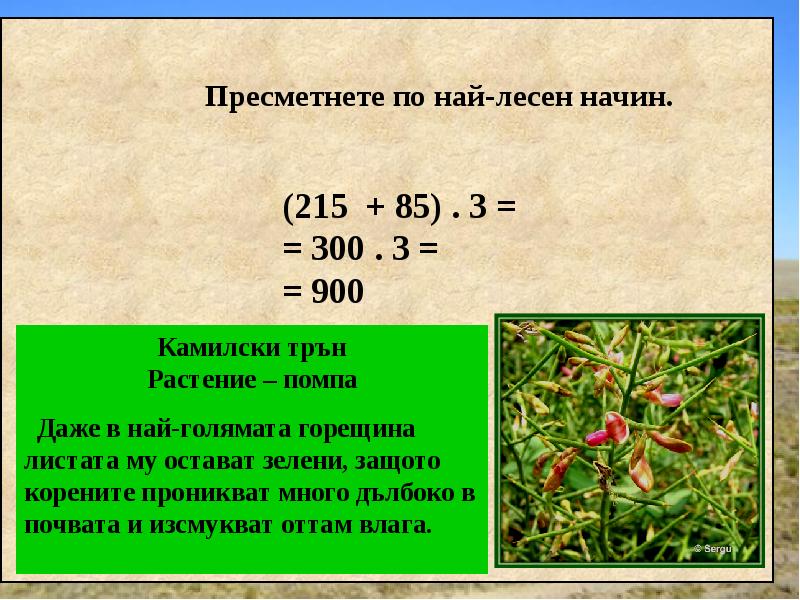 Число умножили на треть. Как неполное число умножать на тысячу. 900 909999 Умножить на 900 509.