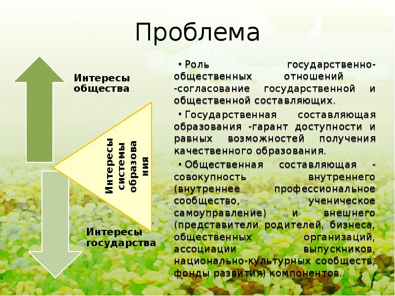 Проблема роль. Проблема роли.