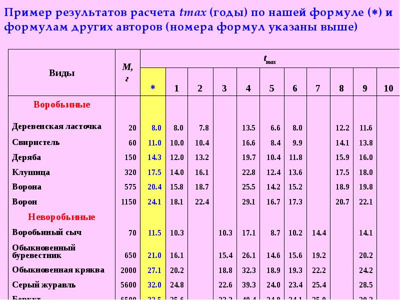 Пример разработки программы