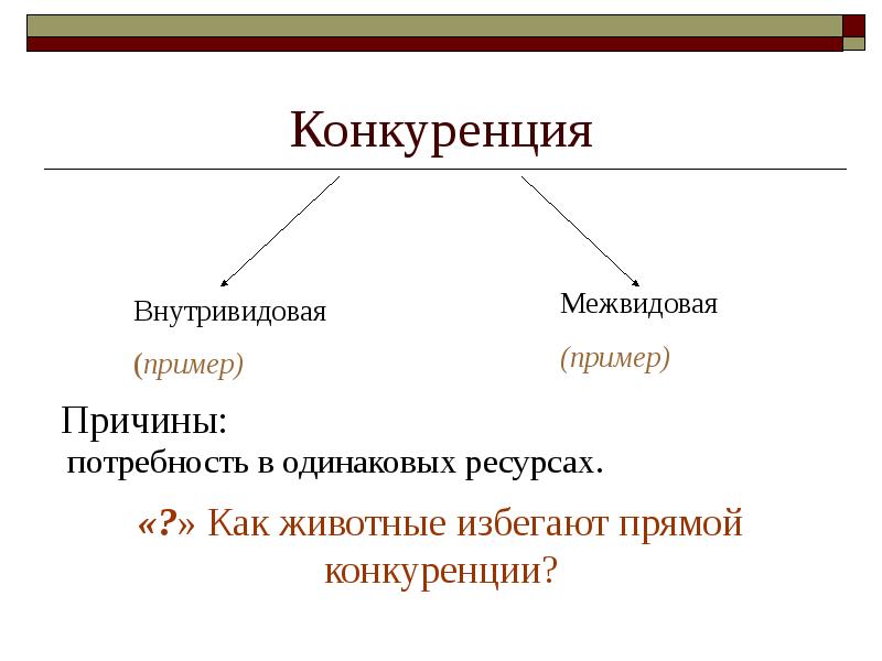 Конкуренция примеры. Примеры конкуренции в биологии. Конкуренция примеры примеры. Примеры межвидовой конкуренции в биологии.