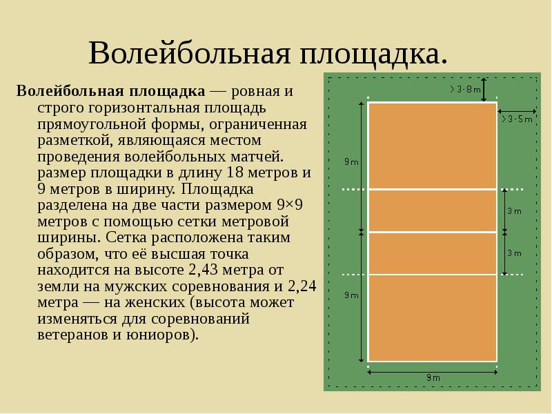 Чертеж волейбольной площадки с размерами и зонами