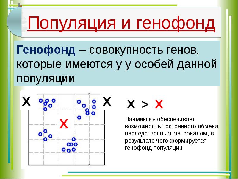 Генофонд это. Генофонд популяции. Генофонд примеры. Генофонд популяции это в биологии. Генофонд популяции и генофонд вида.