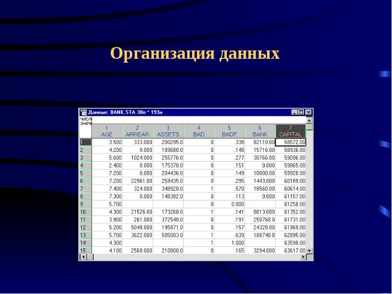 Федеральные банки данных. Данные фирмы.