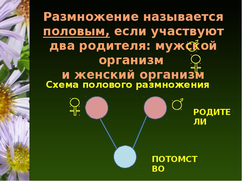 Сообщение про размножение