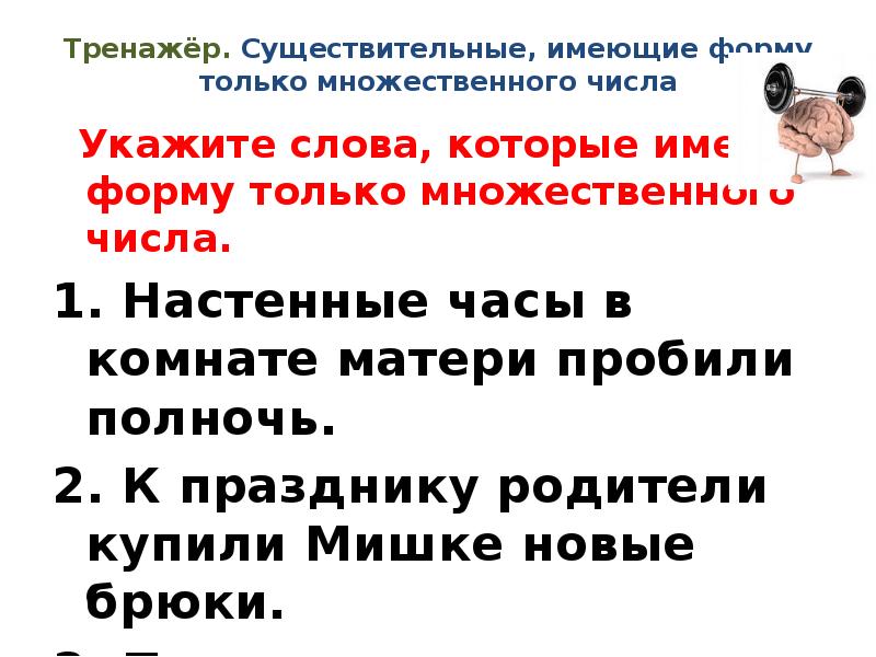 Презентация 5 класс существительные только множественного числа 5 класс