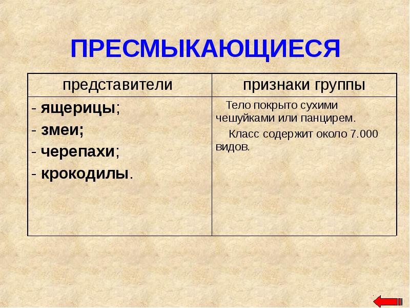 Признаки пресмыкающих