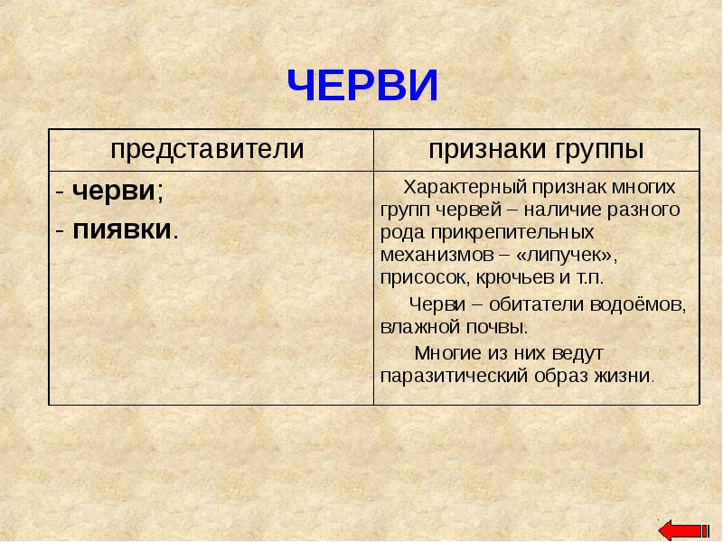 Характерные признаки представители. Признаки группы черви 3 класс. Существенные признаки червей 3 класс. Представители группы червей. Отличительные особенности червей.