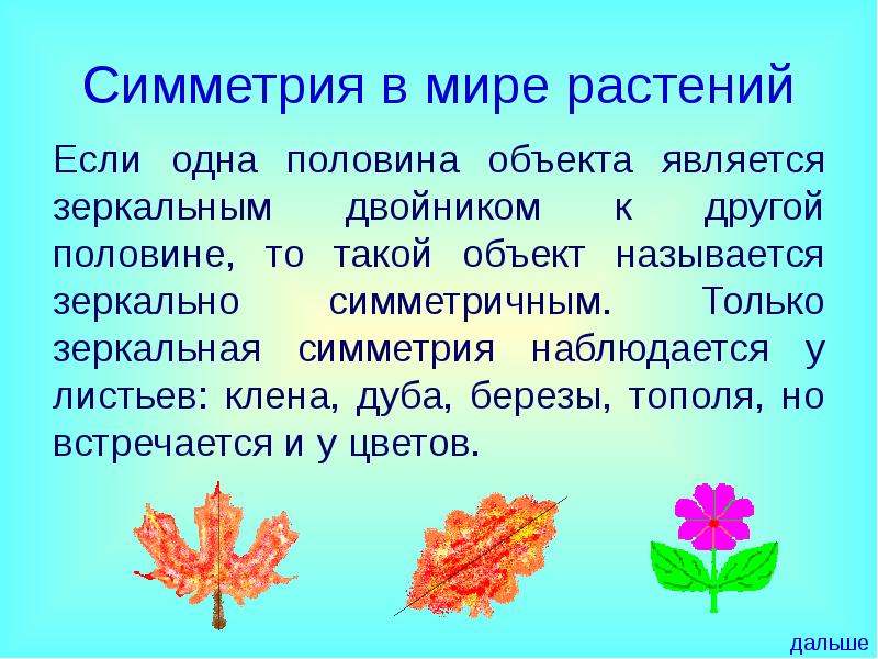 Симметрия листа. Симметрия в мире растений. Симметрия в растительном мире. Осевая симметрия в мире растений. Осевая симметрия у растений.