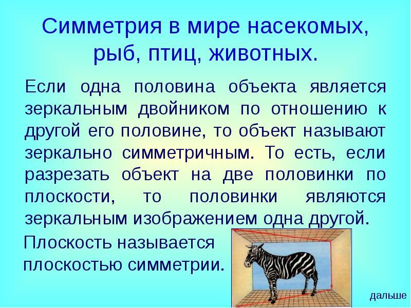 Объект половина. Симметрия в мире насекомых, рыб, птиц, животных. Реферат симметрия в животном мире. Симметрия тела птиц. Симметрия в мире животных рыбы.