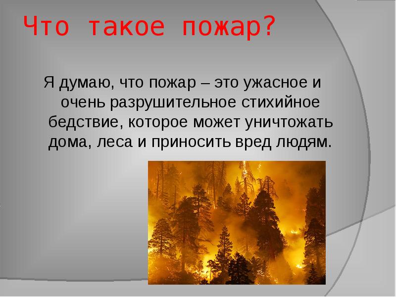 Почему так много пожаров. Почему так много пожаров