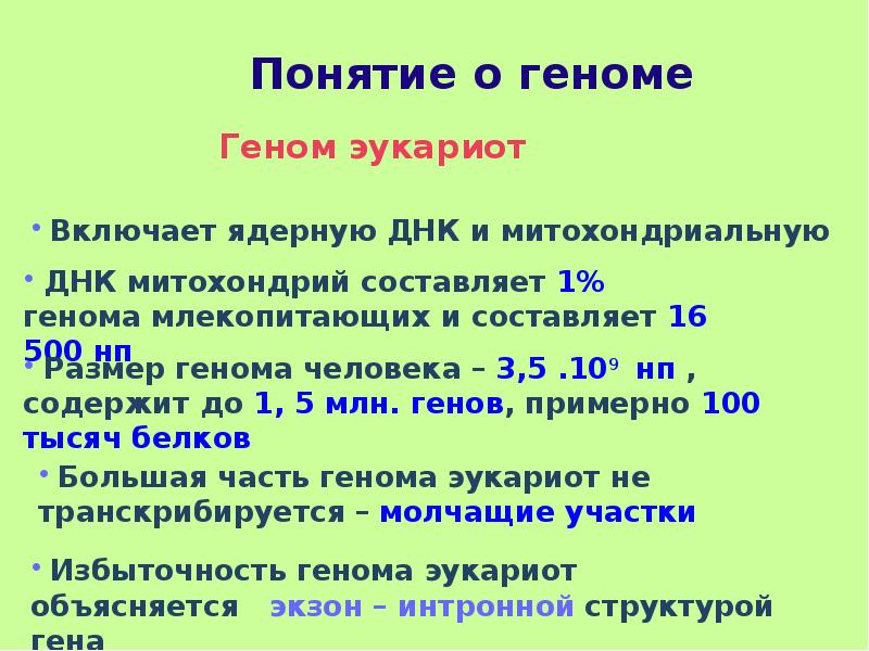 Современные представления о гене и геноме презентация 10 класс сивоглазов