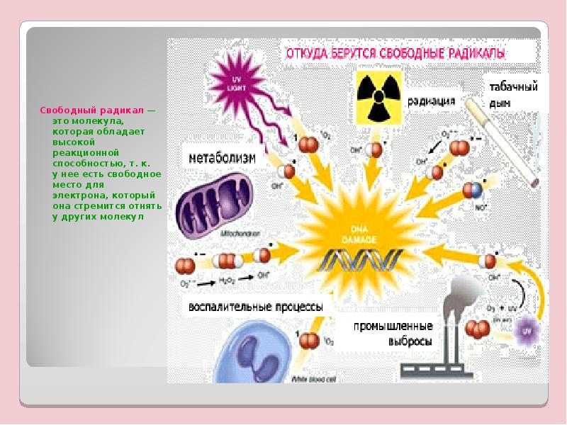 Свободные радикалы презентация