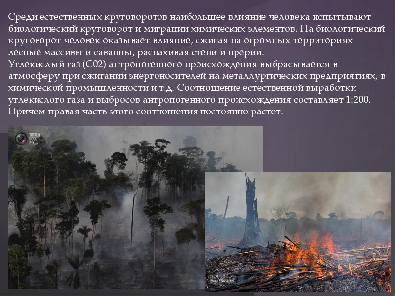 Влияние человека презентация. Влияние человека на круговорот веществ в природе. Влияние человека на биоразнообразие. Воздействие человека на круговороты веществ. Влияние деятельности человека на круговорот веществ и элементов.