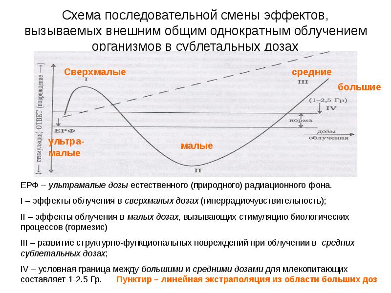 Биологические эффекты малых доз облучения презентация