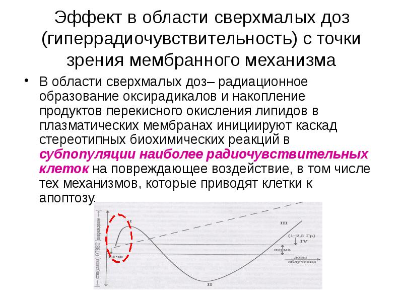 Биологические эффекты малых доз облучения презентация