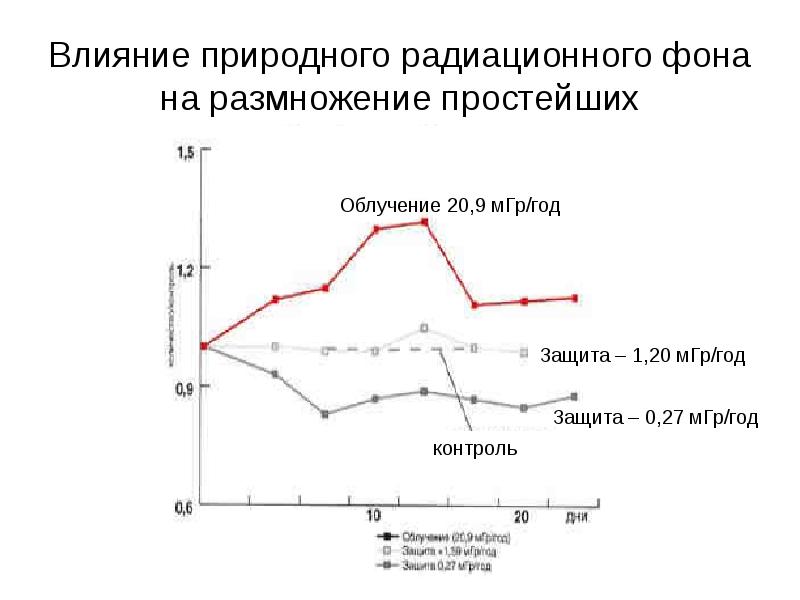 Влияние природного радиационного фона на размножение простейших Влияние природного радиационного фона на размножение простейших