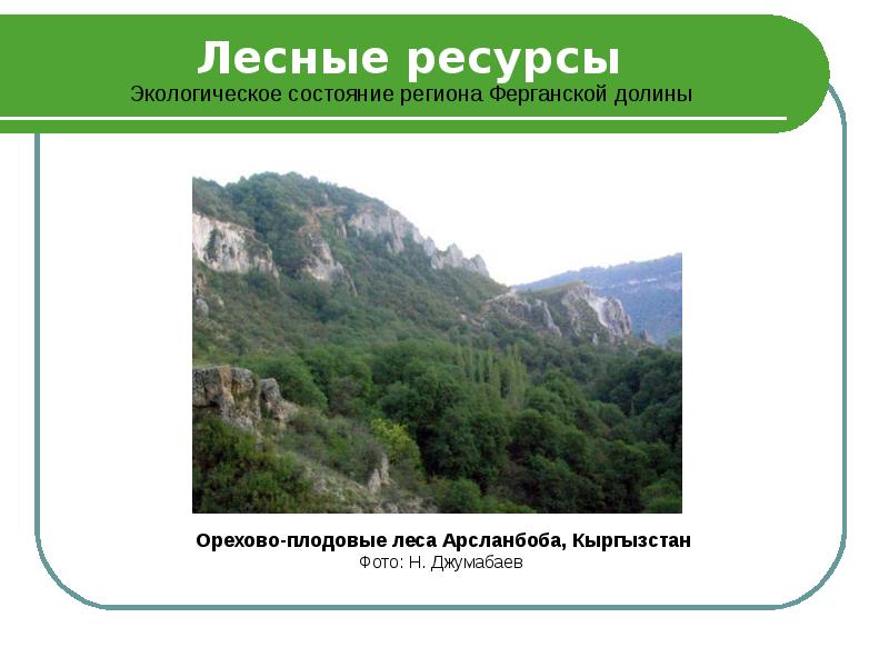 1 лесной ресурс. Лесные ресурсы презентация. Карта Лесные ресурсы Кыргызстана. Арсланбоб экологичное состояния. Орехово плодовые леса.