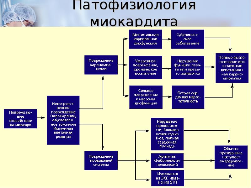 Патофизиология в картинках