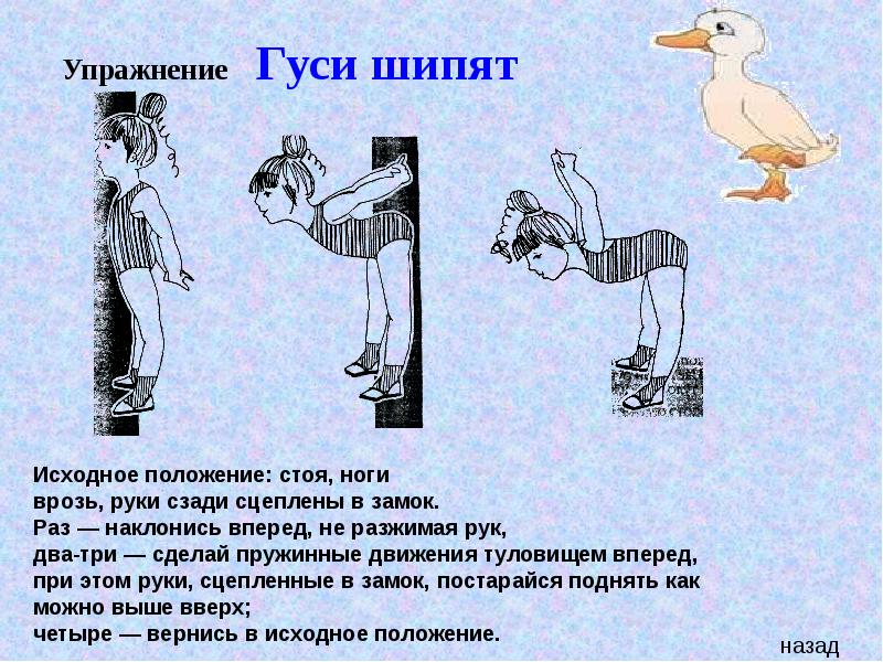 Упражнения от гусиной шеи. Дыхательная гимнастика гуси. Кинезиологические упражнения для дошкольников. Упражнение гусь. Дыхательное упражнение гуси.