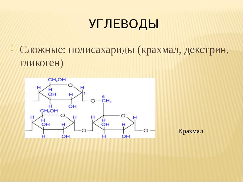 Презентация на тему полисахариды