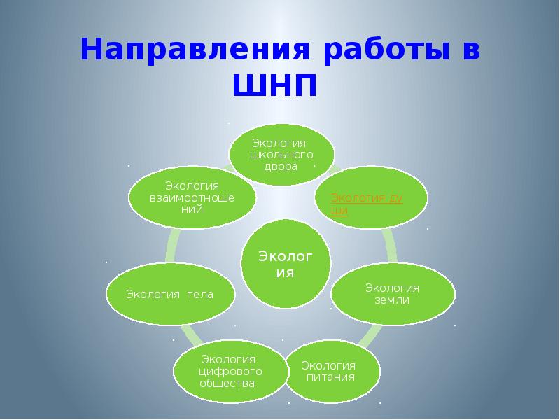 Направления работы. Слайд о направлении работы. Направления работы проекта. Направления проектов по предметам.