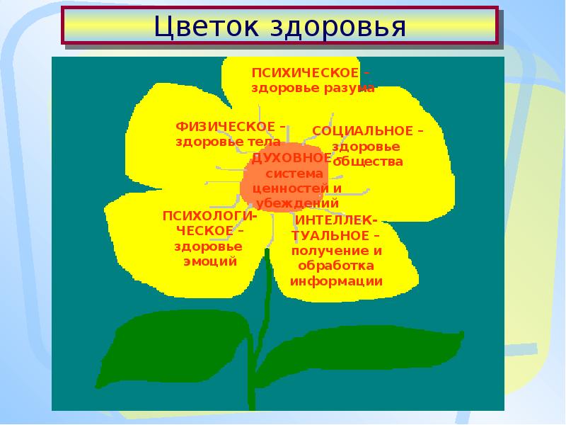 Цветок здоровья. Цветок здоровья презентация. Лекция цветок здоровья. Цветущего здоровья. Цветок здоровья со всеми процедурами.