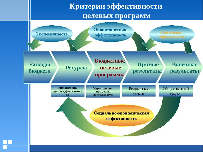 Социально экономическая эффективность проектов