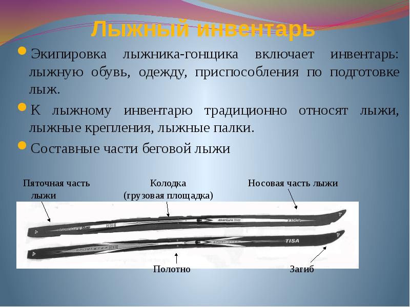 Какие бывают лыжи. Как называются части лыж. Строение лыж. Конструкция лыж. Составные части лыж.