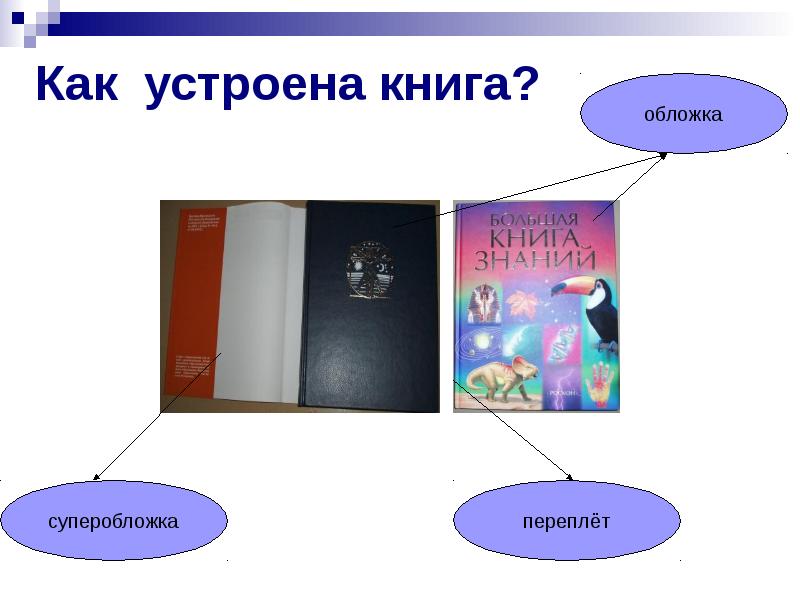 Книжка устроить. Как устроена книга. Структура книги для детей. Как называется внутренняя сторона обложки книги. Как устроена книга картинки.