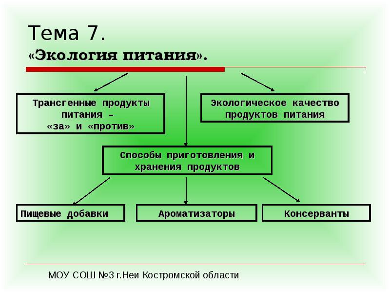 Экология питания проект