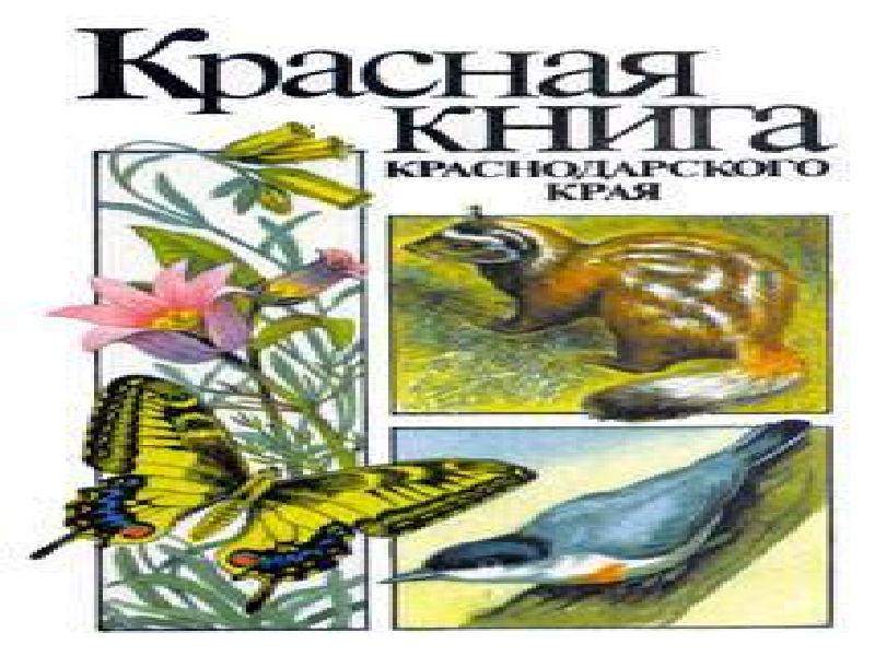 Красная книга кубани проект