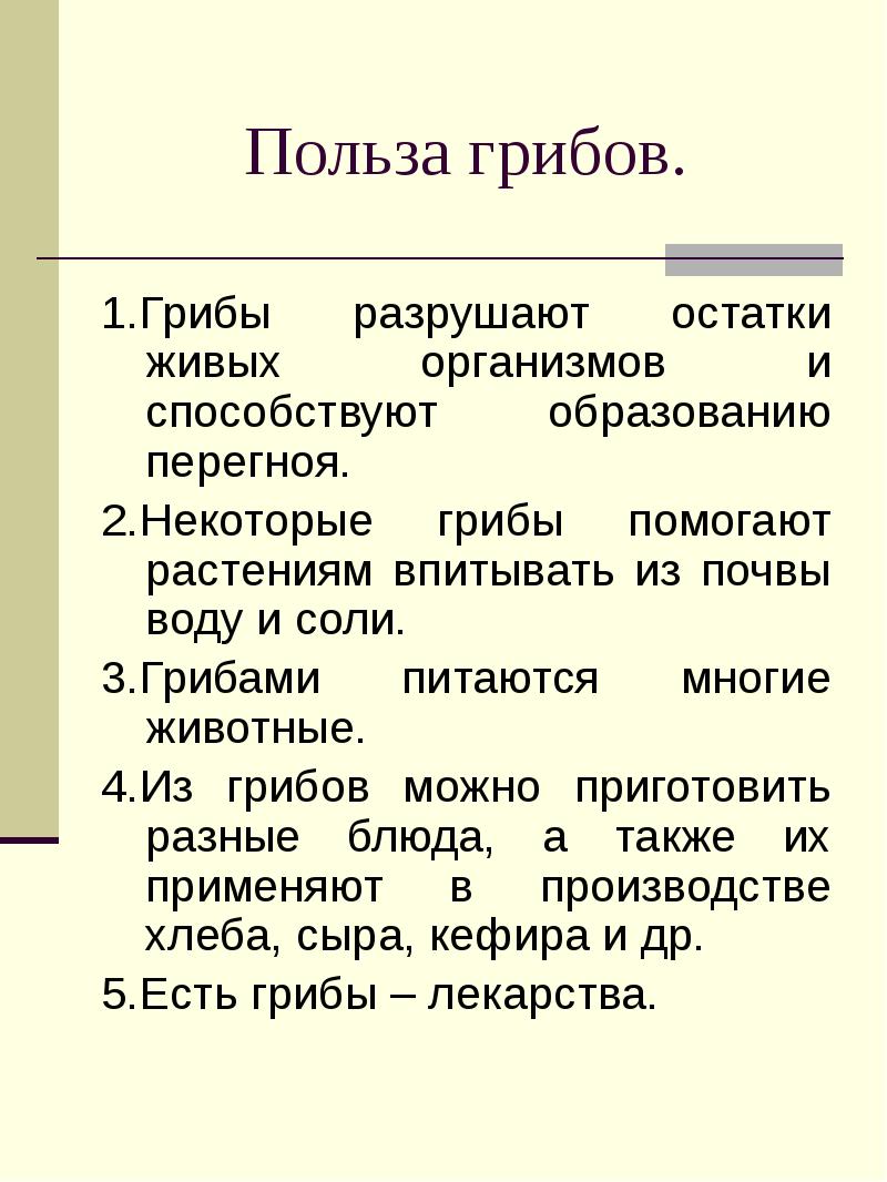 Грибы польза и вред проект по биологии 5 класс