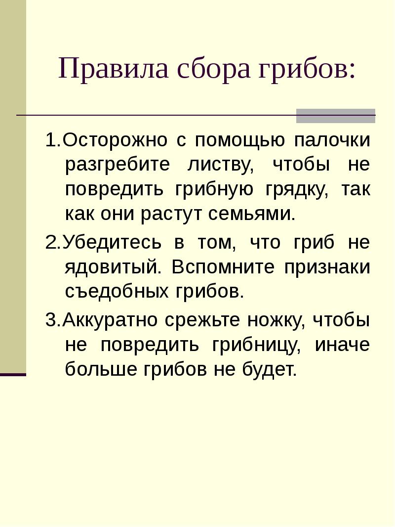 Правила сбора грибов: 1.Осторожно с помощью палочки разгребите листву, чтобы не