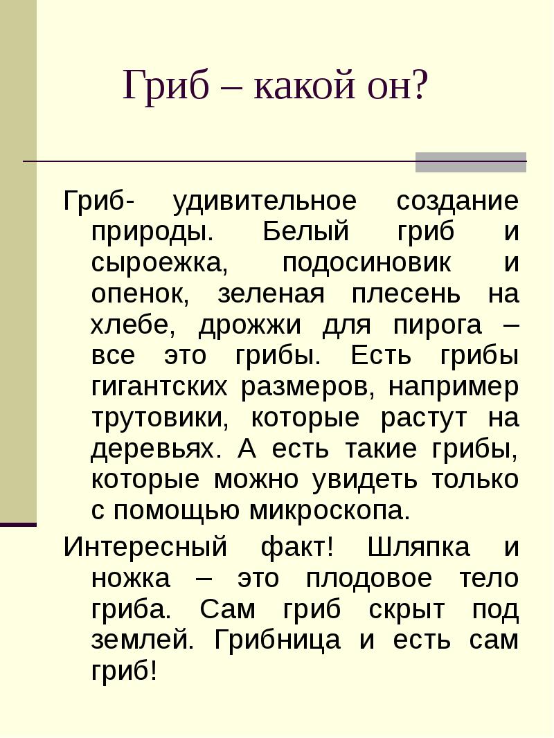 Гриб – какой он? Гриб- удивительное создание природы. Белый гриб и
