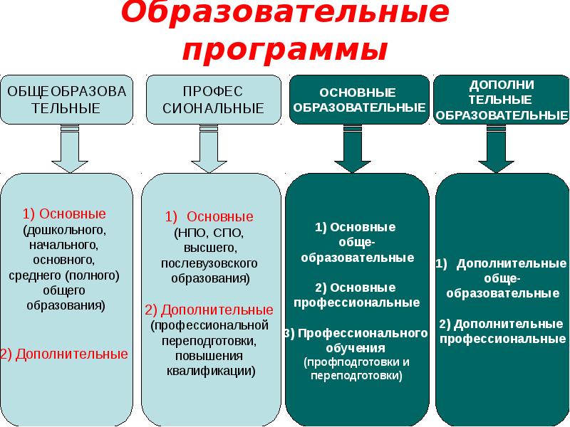 Образовательные программы