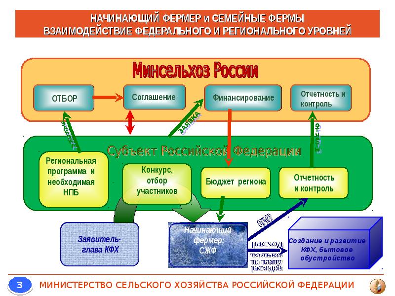 Федеральное хозяйство. Структура Министерства сельского хозяйства. Презентация Минсельхоза РФ.