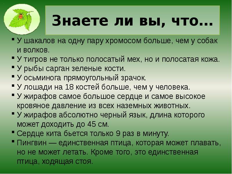 Интересно знать. А знаете ли вы что интересные факты. А вы знали что интересные факты. Рубрика знаете ли вы интересные факты. Интересная информация для школьников.