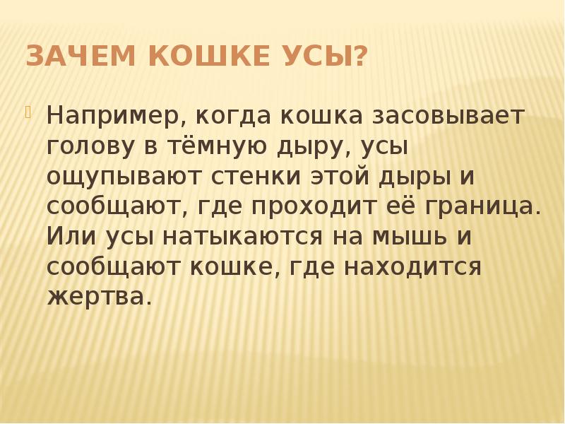 Зачем кошке усы проект