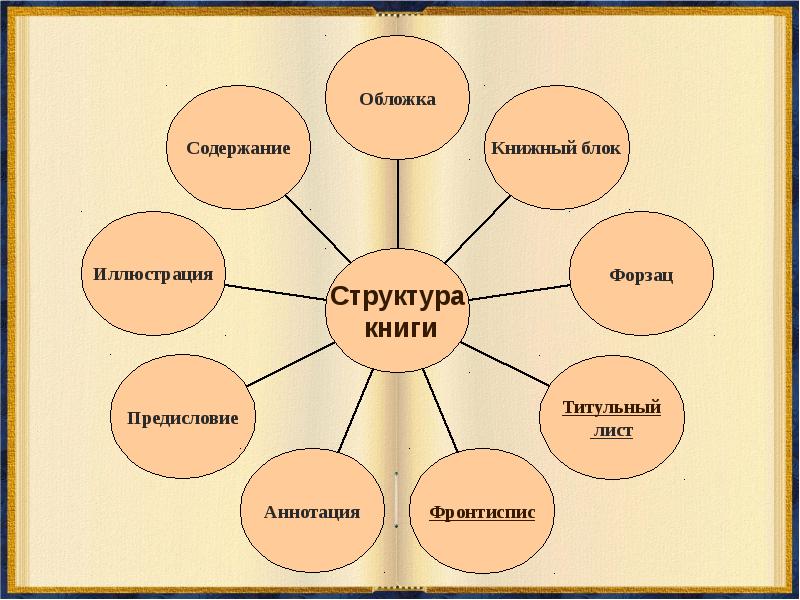 Структура книги схема