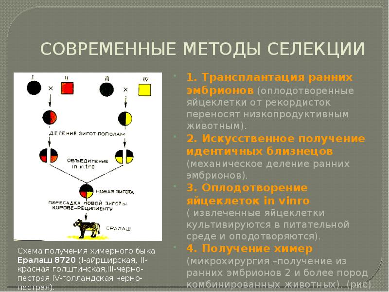 Современные методы селекции проект