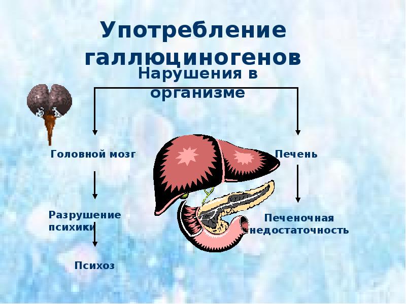 Употребление галлюциногенов Употребление галлюциногенов